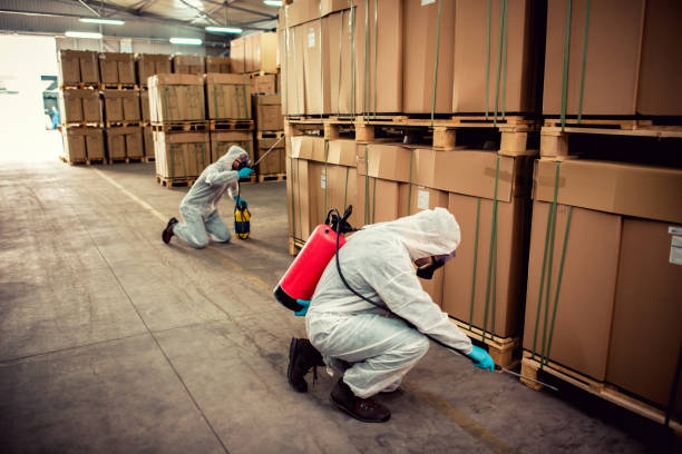Best Mosquito Control Services  in Anderson, CA