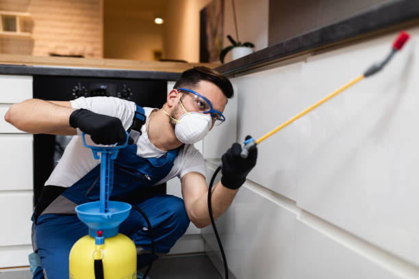 Reliable Anderson, CA Pest Control Solutions