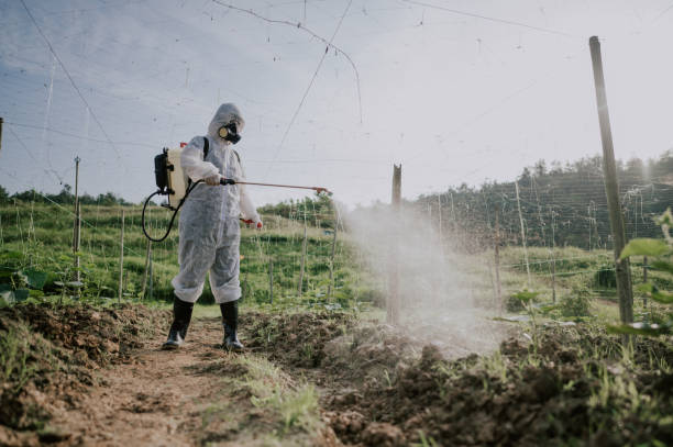 Best Local Pest Control Services  in Anderson, CA