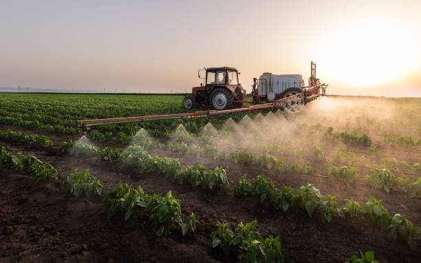 Best Wildlife Control Services  in Anderson, CA