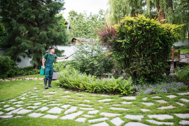 Wildlife Control Services in Anderson, CA