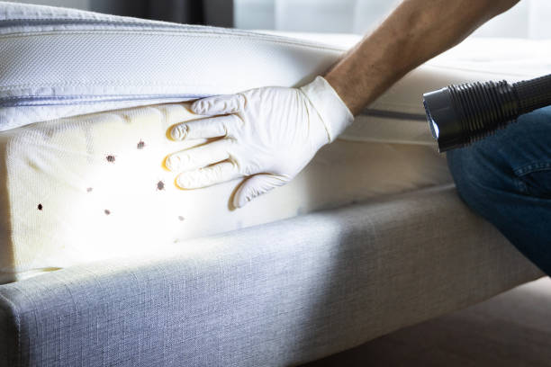 Best Commercial Pest Control Services  in Anderson, CA