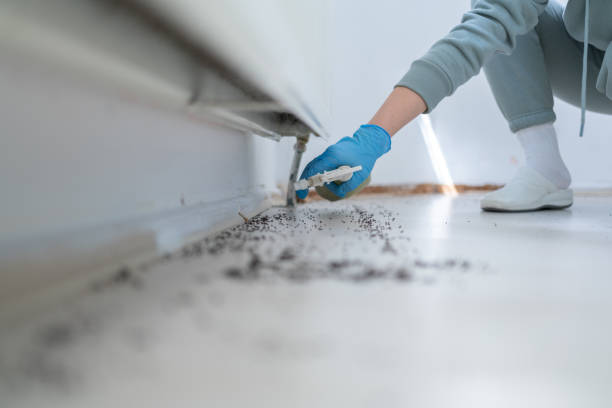 Best Pest Inspection Near Me  in Anderson, CA